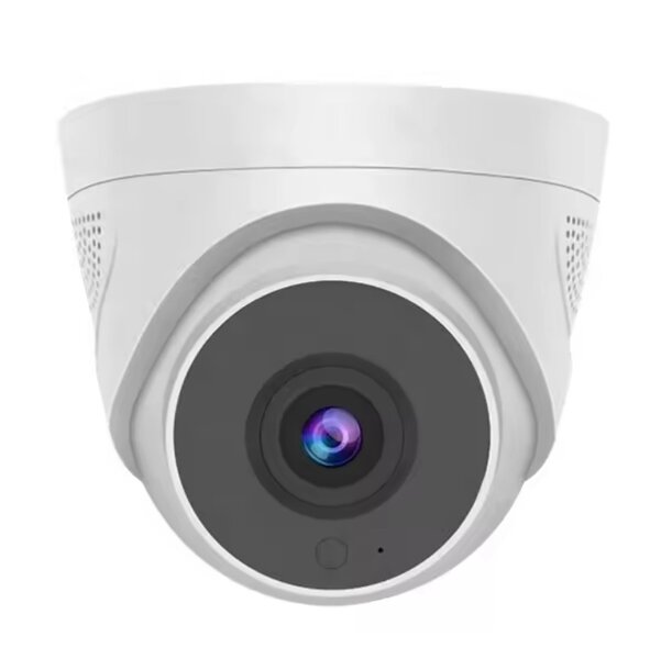 WiFi Security Camera &quot;Dome&quot; Ceiling Mount (Basic)