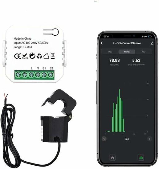 Intelligenter Energiemonitor 2 Klemmen