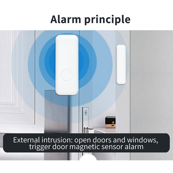 Alarm System Package A (expandable)