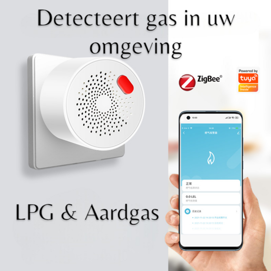 Gas Detector (LPG &amp; Natural Gas)