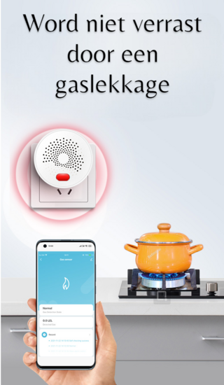 Gasdetektor (LPG &amp; Erdgas)