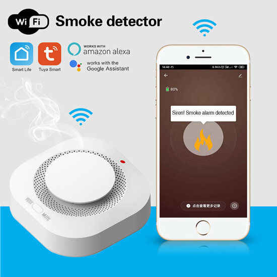 Wifi Rookmelder met Mute button