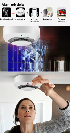 WiFi Smoke Detector with Mute