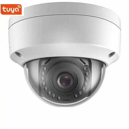 WiFi Security Camera &quot;Dome&quot; Ceiling Mount